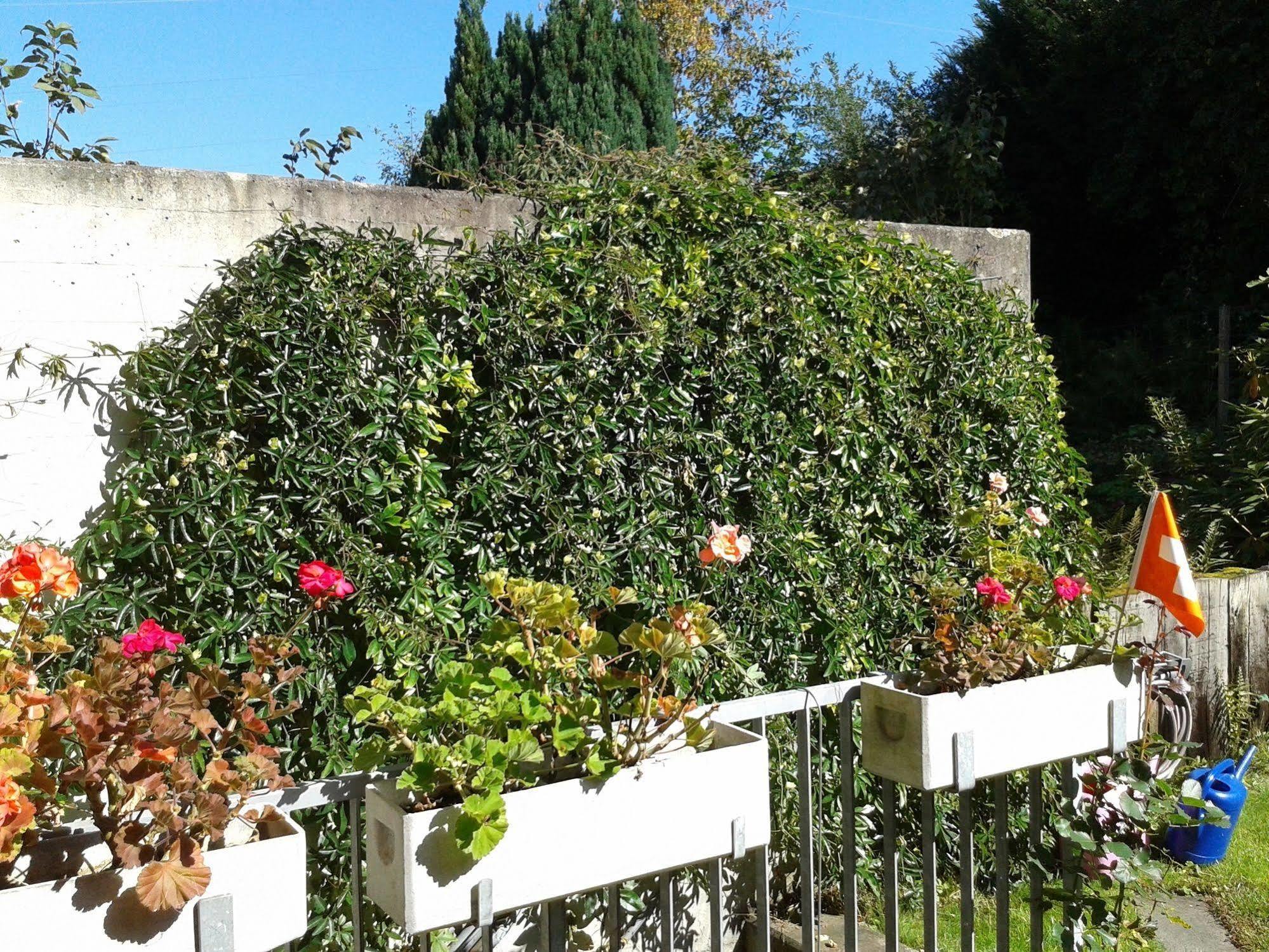 Bed and breakfast Mybednbreakfast In Bottmingen Extérieur photo