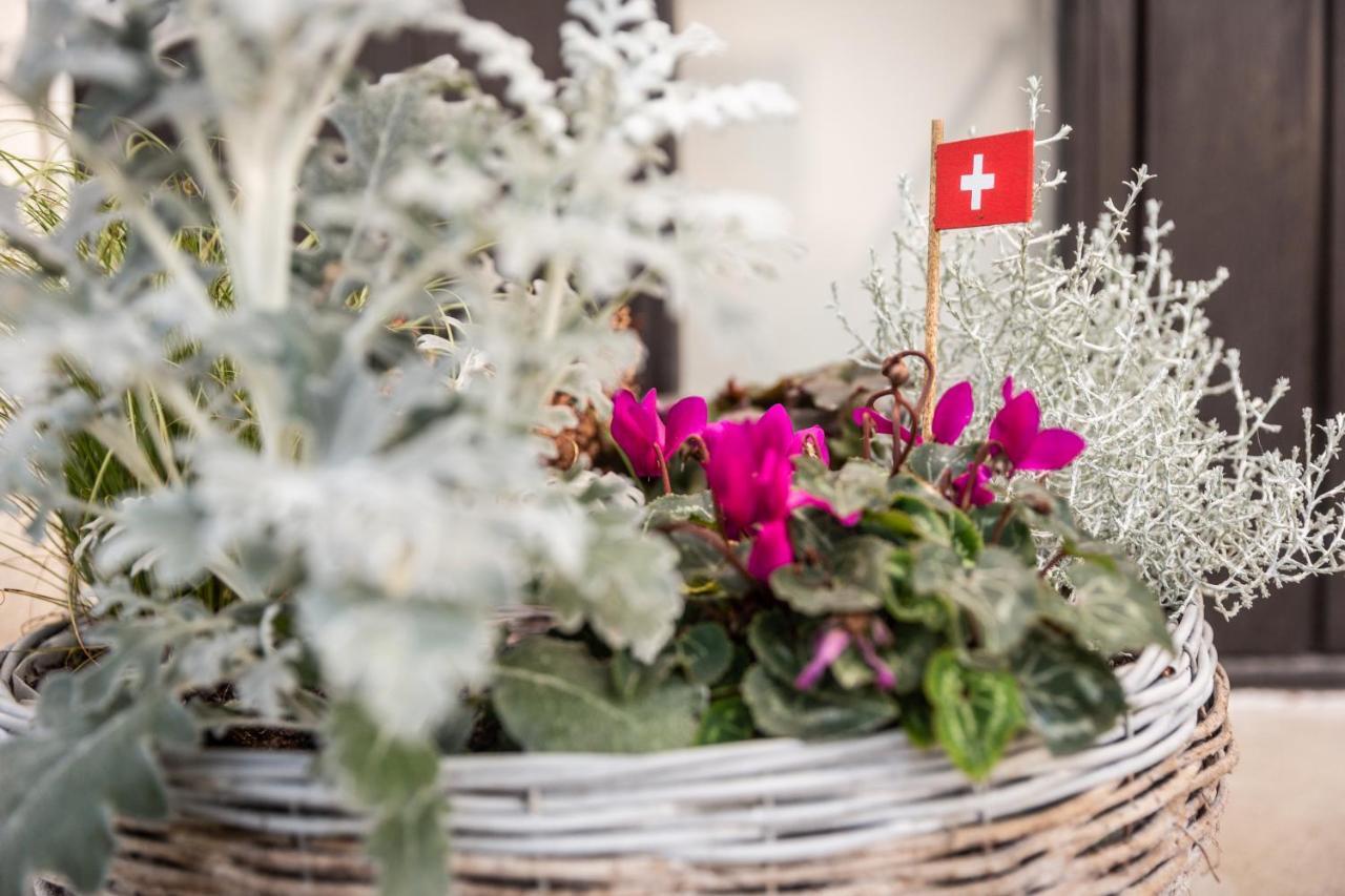 Bed and breakfast Mybednbreakfast In Bottmingen Extérieur photo